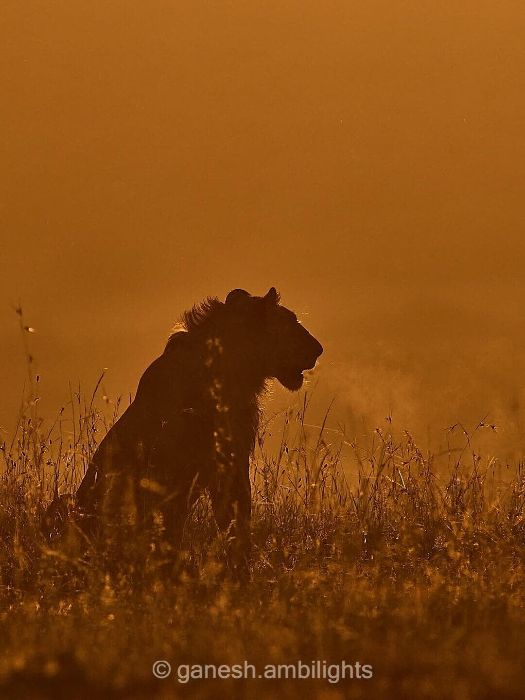 Photography skills to the test